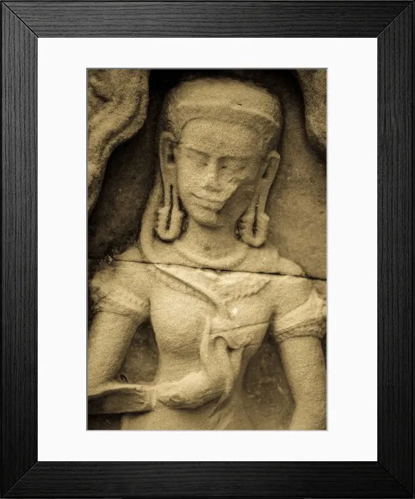 Framed Print : Cambodia, Temples of Angkor (UNESCO site), Ta Som Temple