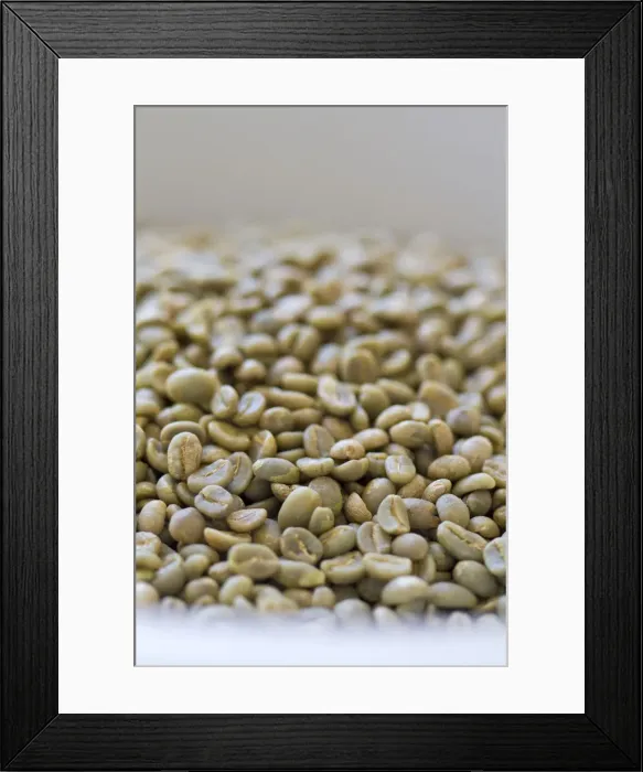 Framed Print : Colombia, Caldas, Manizales, Chinchina, Hacienda de Guayabal, Coffee beans in sack Framed Print : Colombia, Caldas, Manizales, Chinchina, Hacienda de Guayabal, Coffee beans in sack
