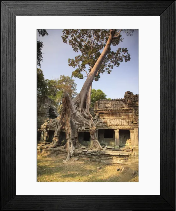 Framed Print : Cambodia, Temples of Angkor (UNESCO site), Preah Khan Temple Framed Print : Cambodia, Temples of Angkor (UNESCO site), Preah Khan Temple