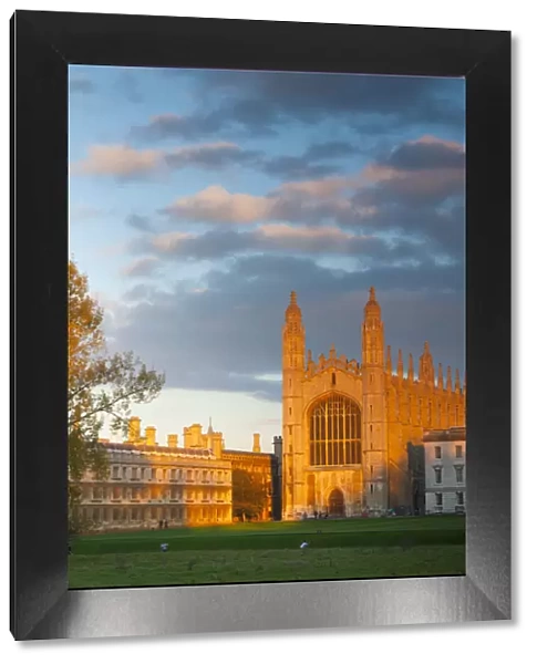 UK, England, Cambridgeshire, Cambridge, The Backs, Kings College Chapel