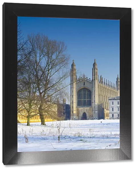 UK, England, Cambridge, Kings College Chapel from The Backs