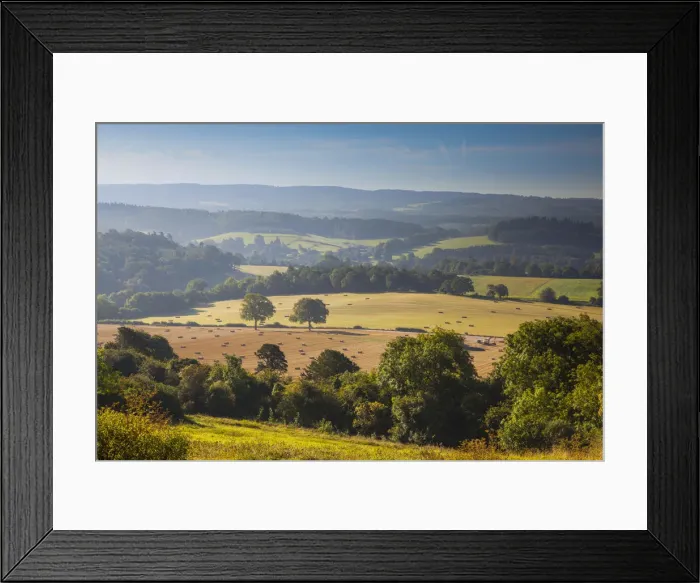 Framed Print : North Downs, Surrey, England, UK Framed Print : North Downs, Surrey, England, UK