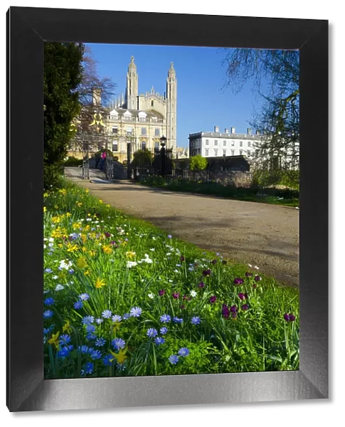 UK, England, Cambridge, Kings College from Clare College in the Spring