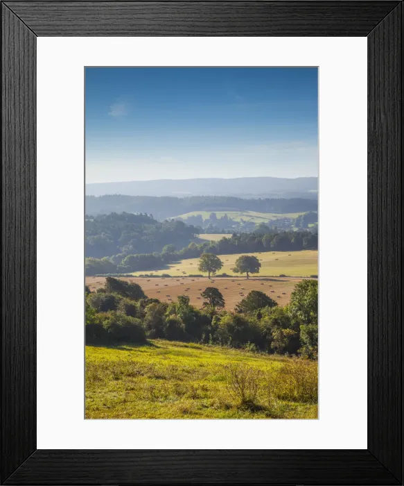 Framed Print : North Downs, Surrey, England, UK Framed Print : North Downs, Surrey, England, UK