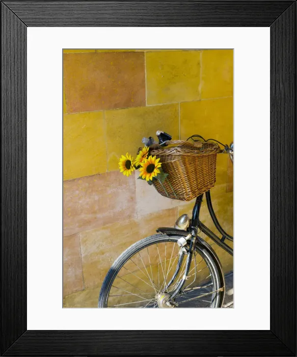 Framed Print : UK, England, Cambridge, Clare College, bicycle Framed Print : UK, England, Cambridge, Clare College, bicycle