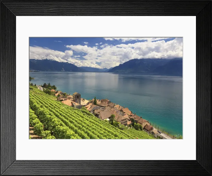 Framed Print : Switzerland, Vaud, Lavaux Vineyards, St. Saphorin Village and Lac Leman / Lake Geneva Framed Print : Switzerland, Vaud, Lavaux Vineyards, St. Saphorin Village and Lac Leman / Lake Geneva