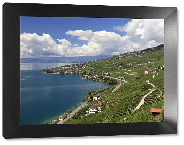 Switzerland, Vaud, Lavaux Vineyards and Lac Leman  /  Lake Geneva