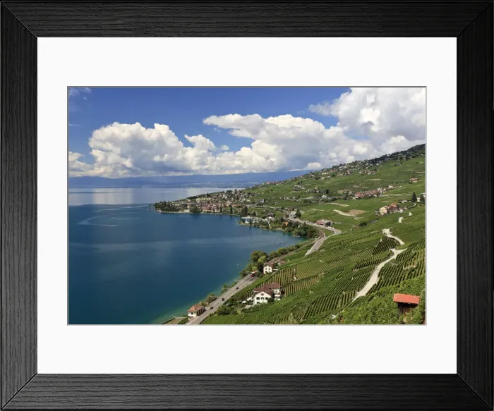 Framed Print : Switzerland, Vaud, Lavaux Vineyards and Lac Leman / Lake Geneva Framed Print : Switzerland, Vaud, Lavaux Vineyards and Lac Leman / Lake Geneva