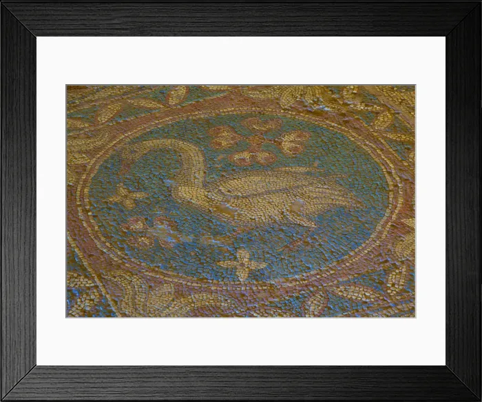 Framed Print : Swan Mosaic from Temple to Athena, Soloi, North Cyprus Framed Print : Swan Mosaic from Temple to Athena, Soloi, North Cyprus