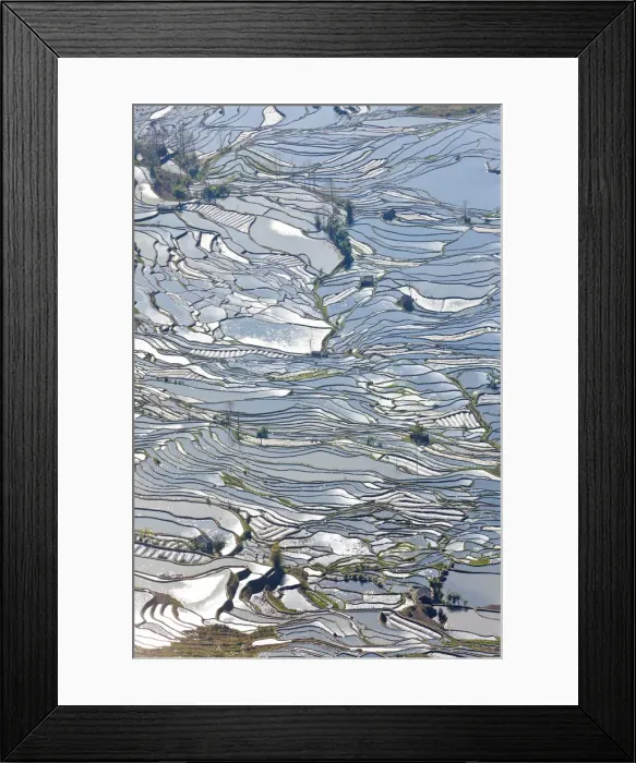 Framed Print : Reflections of water filled rice terraces, Yuanyang County, Honghe, Yunnan Province Framed Print : Reflections of water filled rice terraces, Yuanyang County, Honghe, Yunnan Province