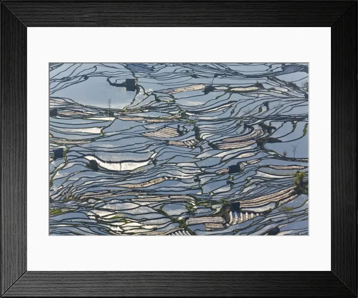 Framed Print : Reflections of water filled rice terraces, Yuanyang County, Honghe, Yunnan Province Framed Print : Reflections of water filled rice terraces, Yuanyang County, Honghe, Yunnan Province