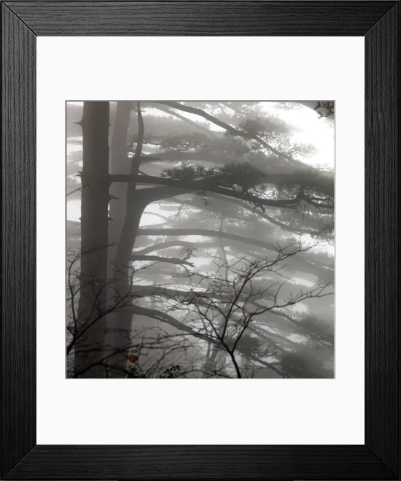 Framed Print : Mount Huangshan, Anhui, China Framed Print : Mount Huangshan, Anhui, China
