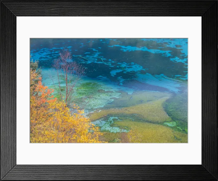 Framed Print : Autumn trees and lake, Jiuzhaigou National Park, Sichuan, China Framed Print : Autumn trees and lake, Jiuzhaigou National Park, Sichuan, China
