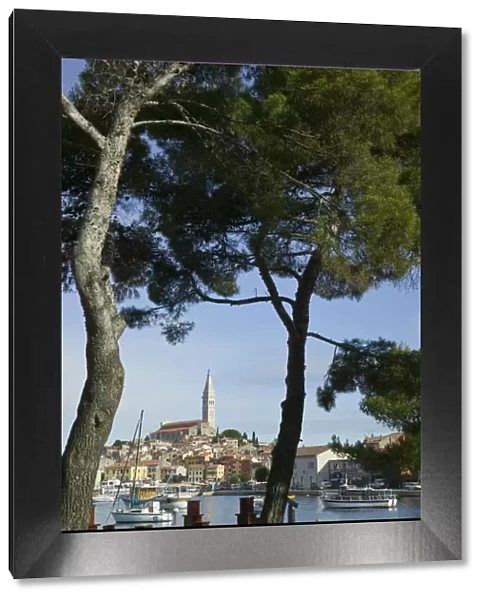 Croatia, Istria, Rovinj, harbour & Cathedral of St. Euphemia