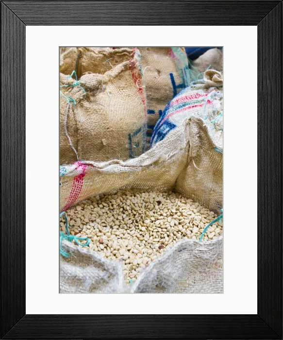 Framed Print : Colombia, Caldas, Manizales, Chinchina, Hacienda de Guayabal, Coffee beans in sacks Framed Print : Colombia, Caldas, Manizales, Chinchina, Hacienda de Guayabal, Coffee beans in sacks