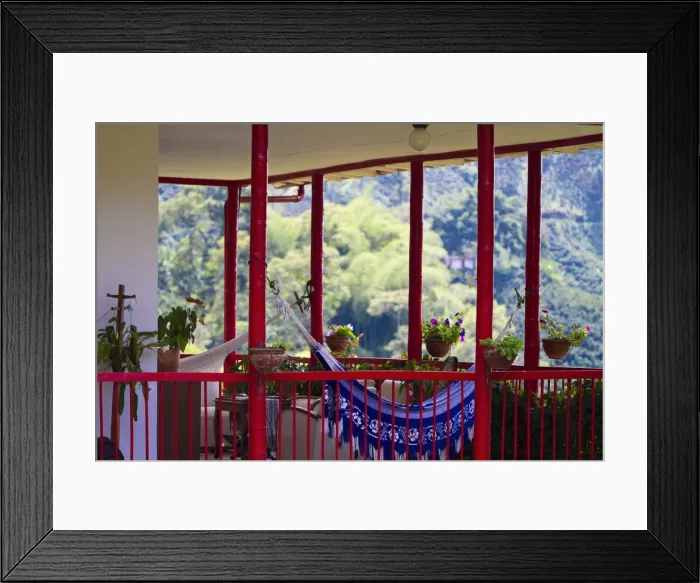 Framed Print : Colombia, Caldas, Manizales, Hammocks on Hacienda Venecia Framed Print : Colombia, Caldas, Manizales, Hammocks on Hacienda Venecia