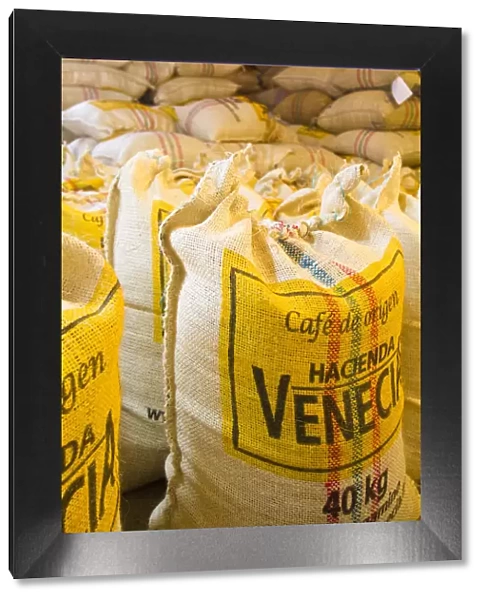 Colombia, Caldas, Manizales, Hacienda Venecia, Coffee in sisal bags ready for export