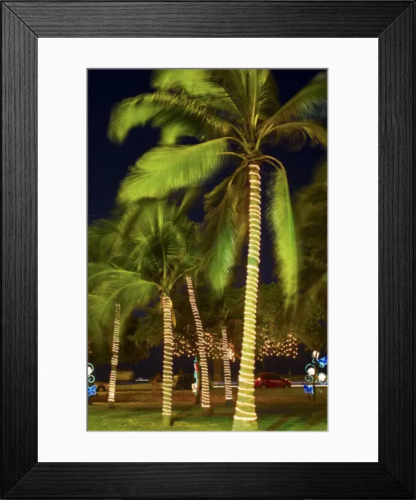 Framed Print : Colombia, Bolivar, Cartagena De Indias, Parque de la Marina, Christmas lights