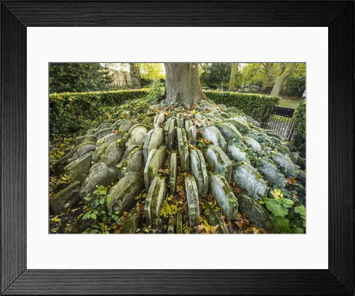 Framed Print : The Hardy Tree, St. Pancras Old Church, Kings Cross, London, England, UK Framed Print : The Hardy Tree, St. Pancras Old Church, Kings Cross, London, England, UK