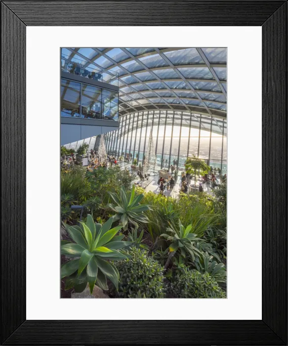 Framed Print : UK, England, London, City of London, The Skygarden Framed Print : UK, England, London, City of London, The Skygarden