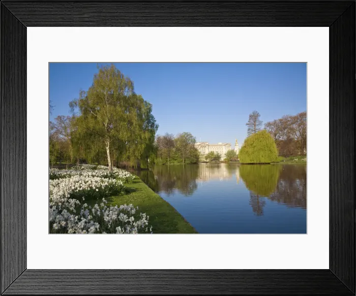 Framed Print : United Kingdom, London, View of Buckingham Palace from Green Park Framed Print : United Kingdom, London, View of Buckingham Palace from Green Park
