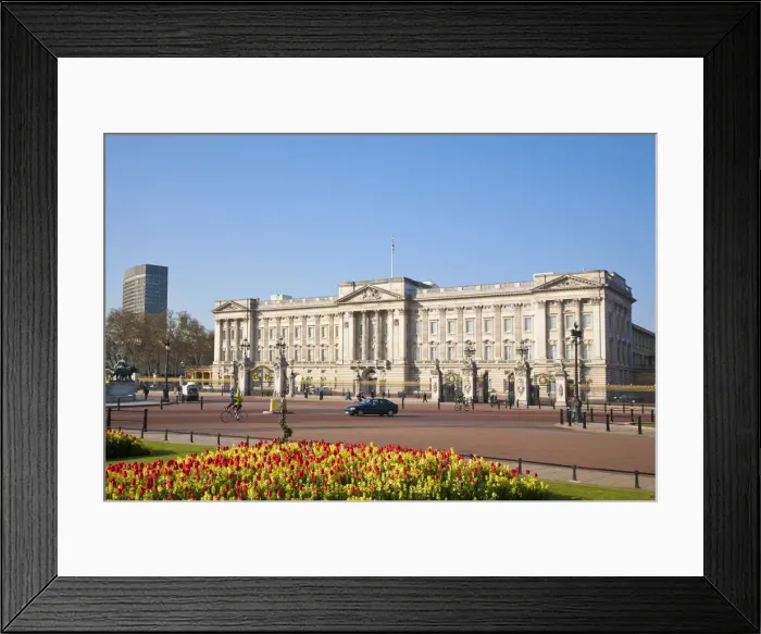Framed Print : United Kingdom, London, Westminster, Tulips infront of Buckingham Palace Framed Print : United Kingdom, London, Westminster, Tulips infront of Buckingham Palace