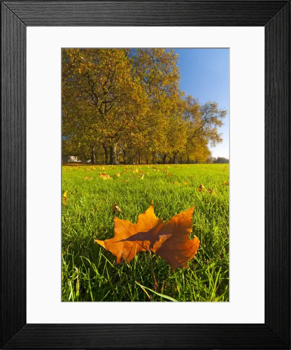 Framed Print : UK, England, London, Hyde Park in Autumn Framed Print : UK, England, London, Hyde Park in Autumn