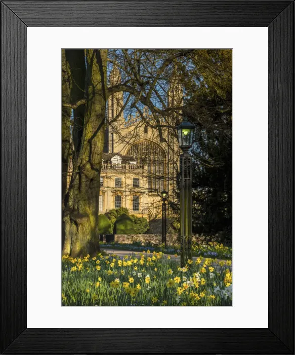 Framed Print : UK, England, Cambridge, Kings College from Clare College in the Spring Framed Print : UK, England, Cambridge, Kings College from Clare College in the Spring