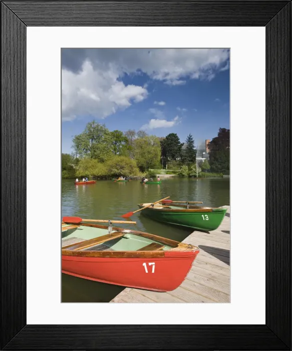 Framed Print : Germany, Hessen, Frankfurt-am-Main, Palmengarten, Palm Garden, rowing lake Framed Print : Germany, Hessen, Frankfurt-am-Main, Palmengarten, Palm Garden, rowing lake