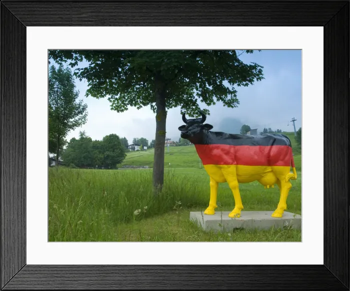 Framed Print : Germany, Bavaria (Bayern), cow statue painted in German flag Framed Print : Germany, Bavaria (Bayern), cow statue painted in German flag