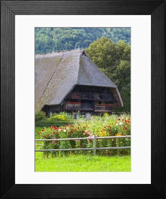 Framed Print : Black Forest Open Air Museum Vogtsbauernhof, Gutach, Black Forest, Baden-Wurttemberg