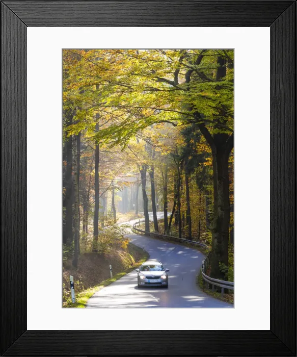 Framed Print : Road through autumn woodland, Saxon Switzerland, Saxony, Germany