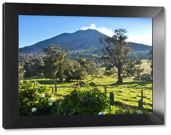 Costa Rica, Turrialba Volcano, Smoking Fumorales, Mountain Cloud Forest, Hedgerow
