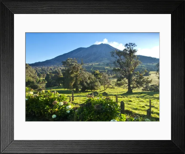 Framed Print : Costa Rica, Turrialba Volcano, Smoking Fumorales, Mountain Cloud Forest, Hedgerow Framed Print : Costa Rica, Turrialba Volcano, Smoking Fumorales, Mountain Cloud Forest, Hedgerow