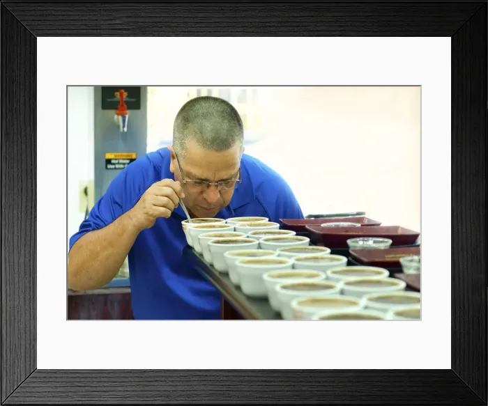 Framed Print : Costa Rica, San Marcos de Tarrazu, Coffee Cooperative, Professional Coffee Taster