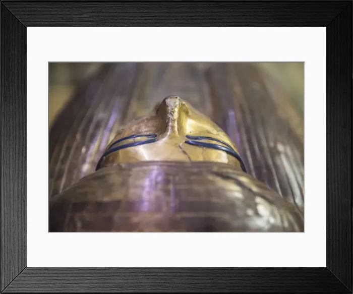 Framed Print : Coffin of Thuya (18th Dynasty), Egyptian Museum, Cairo, Egypt Framed Print : Coffin of Thuya (18th Dynasty), Egyptian Museum, Cairo, Egypt