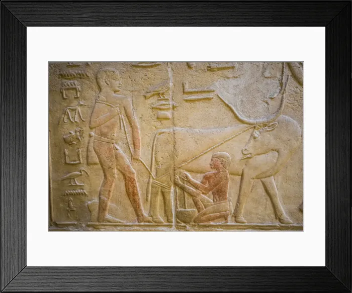 Framed Print : Hyroglyphs in the Mastaba (tomb) of Kagemni (c. 2321-2290 B. C. ) by the Pyramid of Teti Framed Print : Hyroglyphs in the Mastaba (tomb) of Kagemni (c. 2321-2290 B. C. ) by the Pyramid of Teti