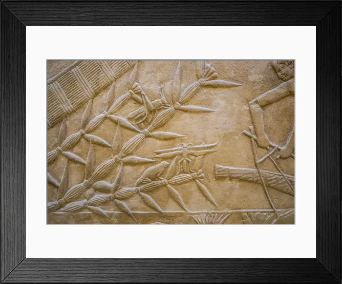 Framed Print : Hyroglyphs in the Mastaba (tomb) of Kagemni (c. 2321-2290 B. C. ) by the Pyramid of Teti
