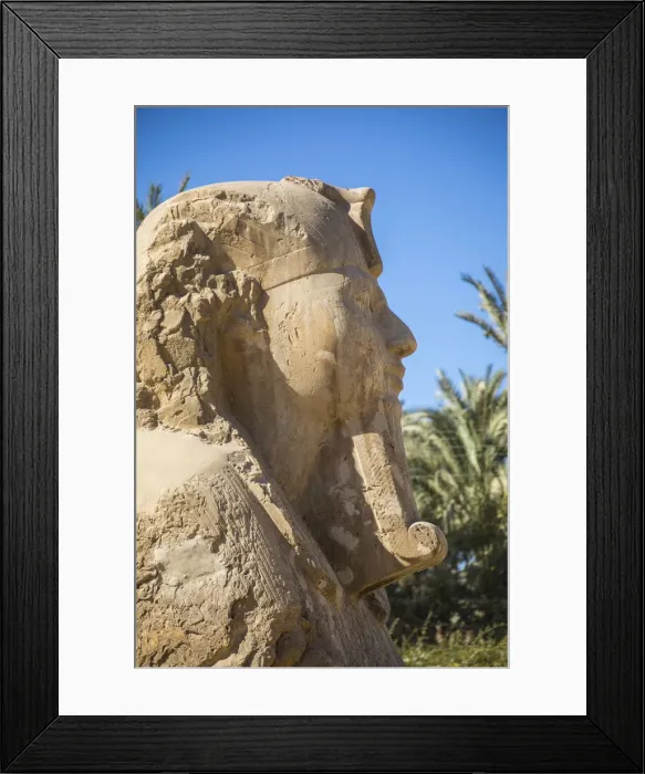 Framed Print : Sphinx at Memphis (capital of Ancient Egypt), Nr. Cairo, Egypt Framed Print : Sphinx at Memphis (capital of Ancient Egypt), Nr. Cairo, Egypt