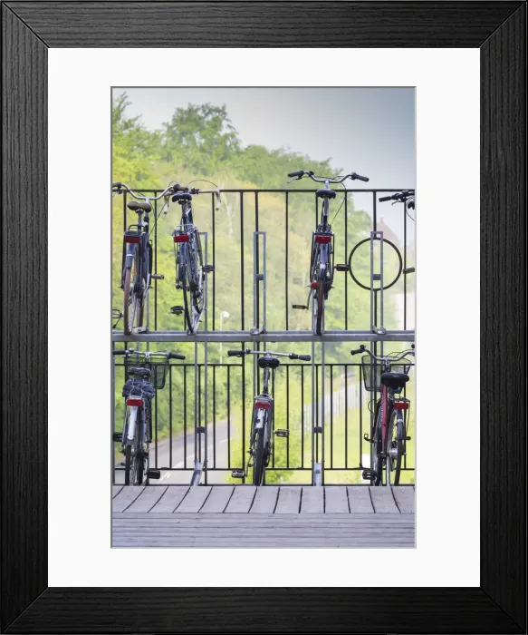 Framed Print : Denmark, Jutland, Aarhus, double decker bicycle parking Framed Print : Denmark, Jutland, Aarhus, double decker bicycle parking