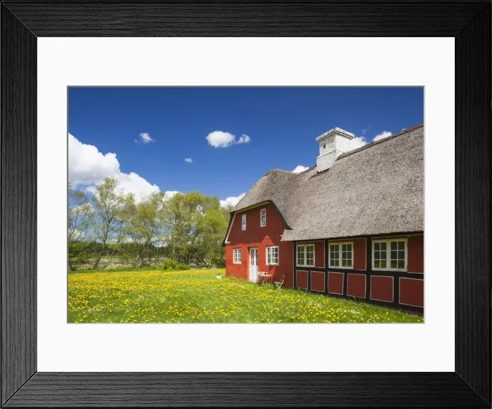 Framed Print : Denmark, Jutland, Hobro, farm buildings