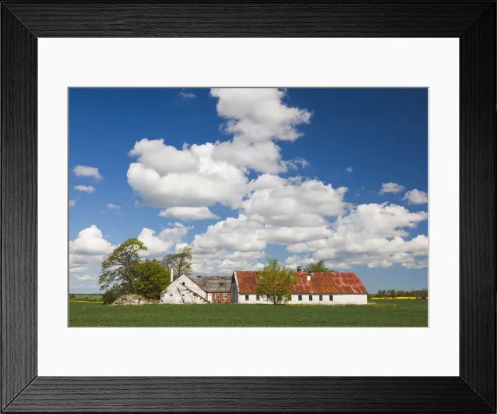 Framed Print : Denmark, Jutland, Odum, farm, springtime Framed Print : Denmark, Jutland, Odum, farm, springtime