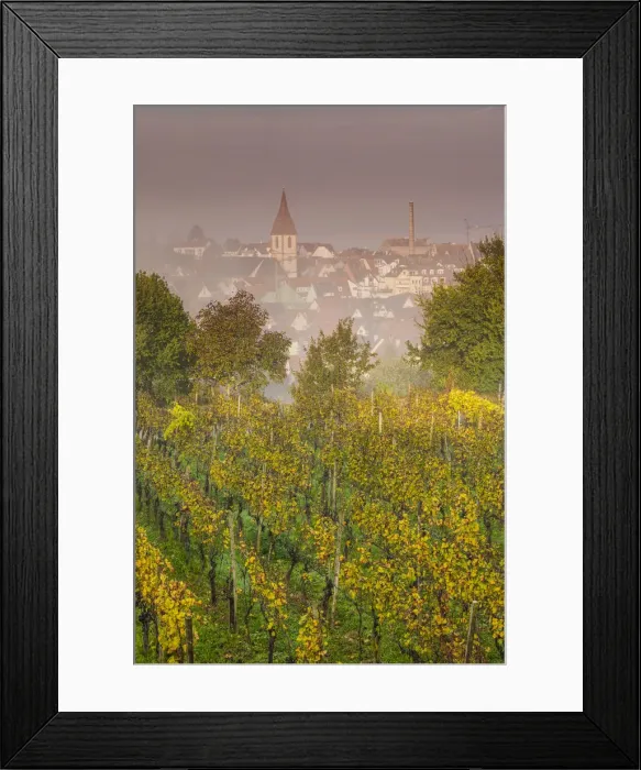 Framed Print : Germany, Baden-Wurttemburg, Kaiserstuhl Area, Endingen, elevated view of the Peterkirche