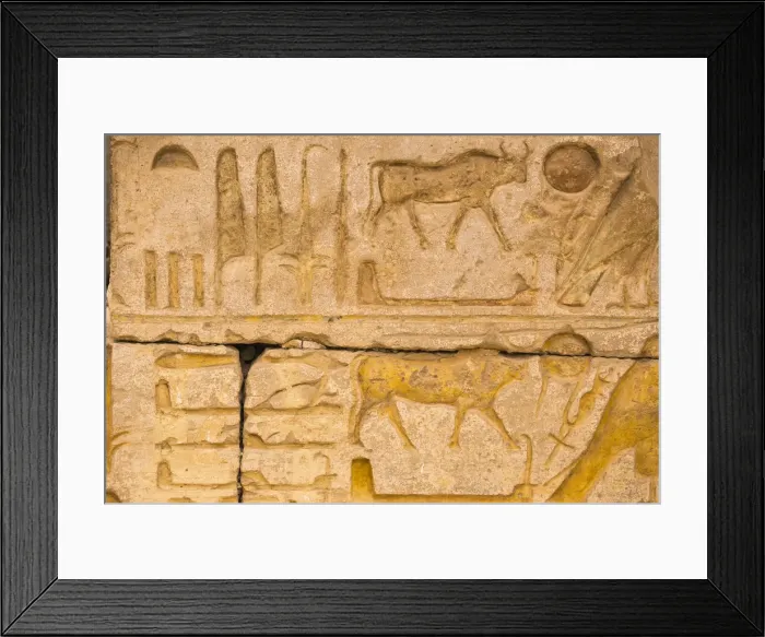 Framed Print : Egypt, Luxor, West Bank, the Temple of Ramessess 11 known as The Ramesseum Framed Print : Egypt, Luxor, West Bank, the Temple of Ramessess 11 known as The Ramesseum