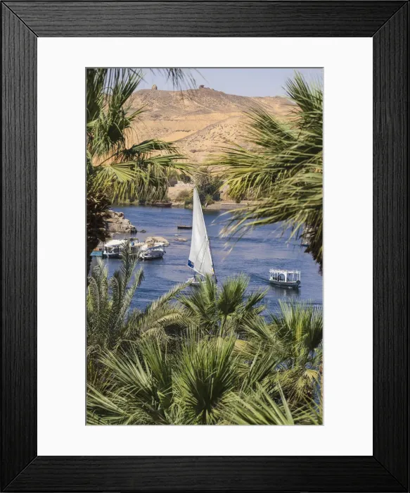 Framed Print : Egypt, Upper Egypt, Aswan, Gardens of Old Cataract Hotel Framed Print : Egypt, Upper Egypt, Aswan, Gardens of Old Cataract Hotel
