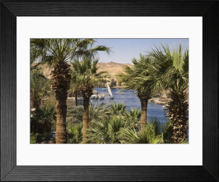 Framed Print : Egypt, Upper Egypt, Aswan, Gardens at the Sofitel Legend Old Cataract hotel situated