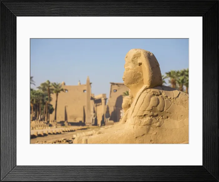 Framed Print : Egypt, Luxor, Luxor Temple, Avenue of Spinxes and the entrance to the temple known Framed Print : Egypt, Luxor, Luxor Temple, Avenue of Spinxes and the entrance to the temple known