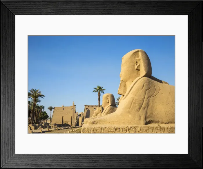 Framed Print : Egypt, Luxor, Luxor Temple, Avenue of Spinxes and the entrance to the temple known Framed Print : Egypt, Luxor, Luxor Temple, Avenue of Spinxes and the entrance to the temple known