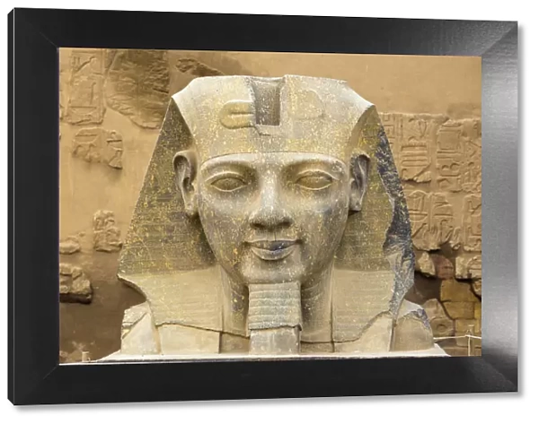 Egypt, Luxor, Luxor Temple, Ramses IIs head