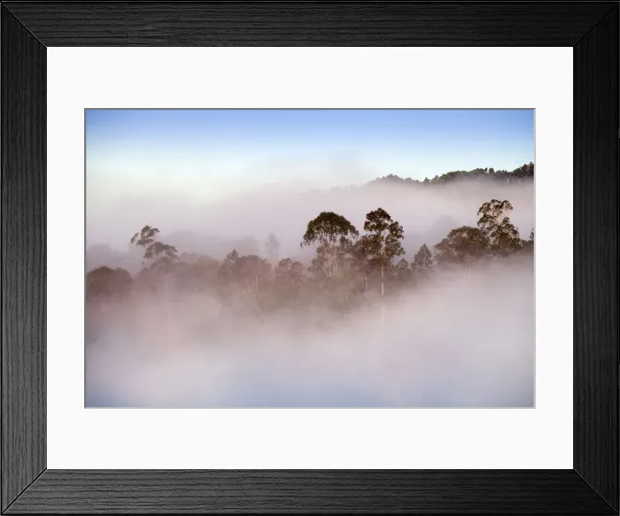 Framed Print : Dominican Republic, Jarabacoa, Misty dawn morning in the mountains of Jarabacoa Framed Print : Dominican Republic, Jarabacoa, Misty dawn morning in the mountains of Jarabacoa